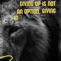 Giving up is not an option, giving in isn't a solution, but giving your all will always be your greatest motivation!