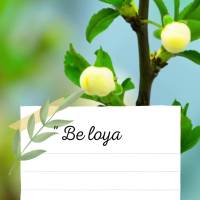 "Be loyal to the small things because your strength resides in them." Mother Theresa