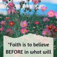 "Faith is to believe BEFORE in what will only makes sense AFTERWARDS." Steven Furtick