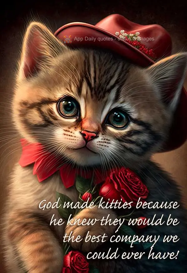 God made kitties because he knew they would be the best company we could ever have!
