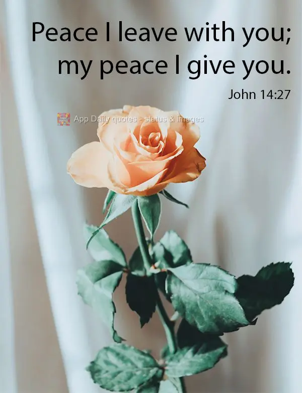 Peace I leave with you; my peace I give you. John 14:27 