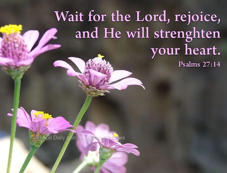 "Wait for the Lord, rejoice, and He will strengthen your heart." Psalms 27:14