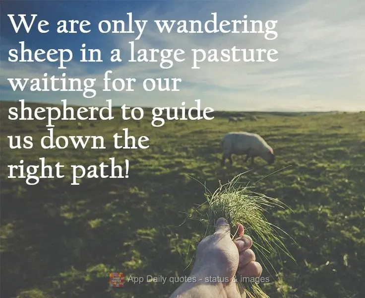 We are just wandering sheep in a large pasture waiting for our shepherd to guide us down the right path!