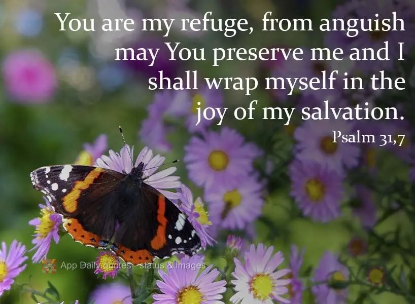 You are my refuge from anguish. You protect me and I shall wrap myself in the joy of my salvation.  Psalms 31:7