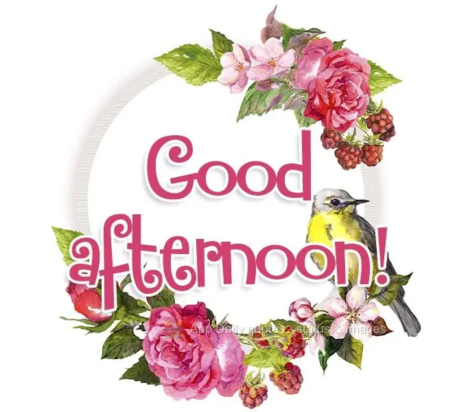 Good afternoon!