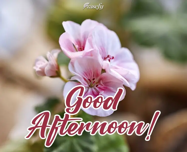 Good afternoon!