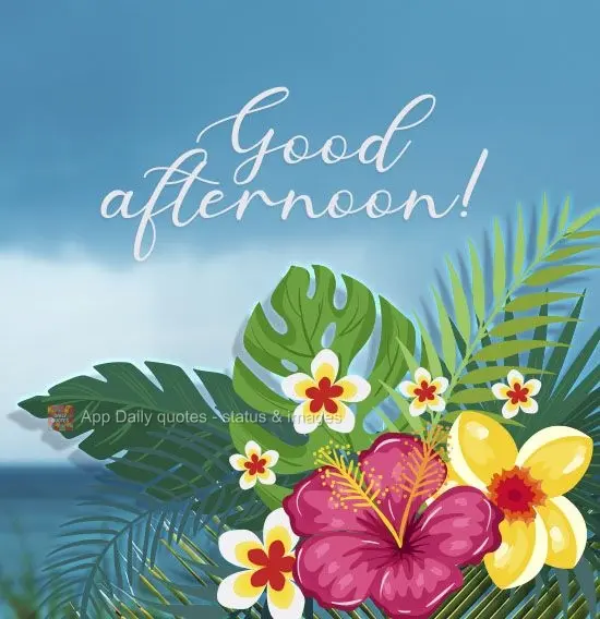 Good afternoon!