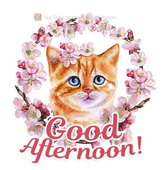 Good afternoon! 