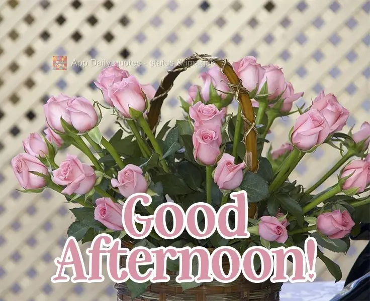 Good afternoon!