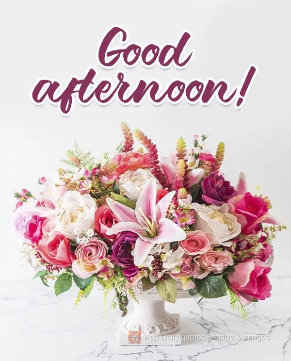 Good afternoon! 