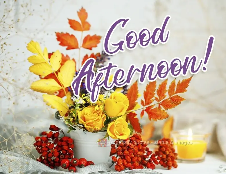 Good afternoon! 