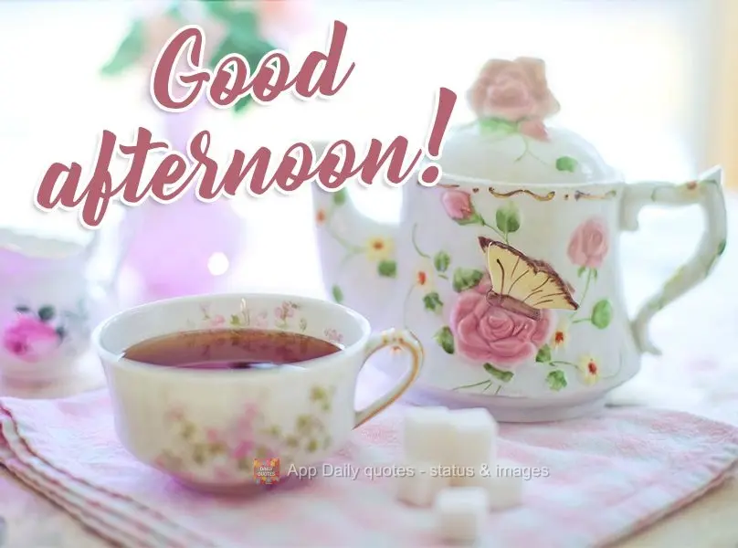 Good afternoon! 
