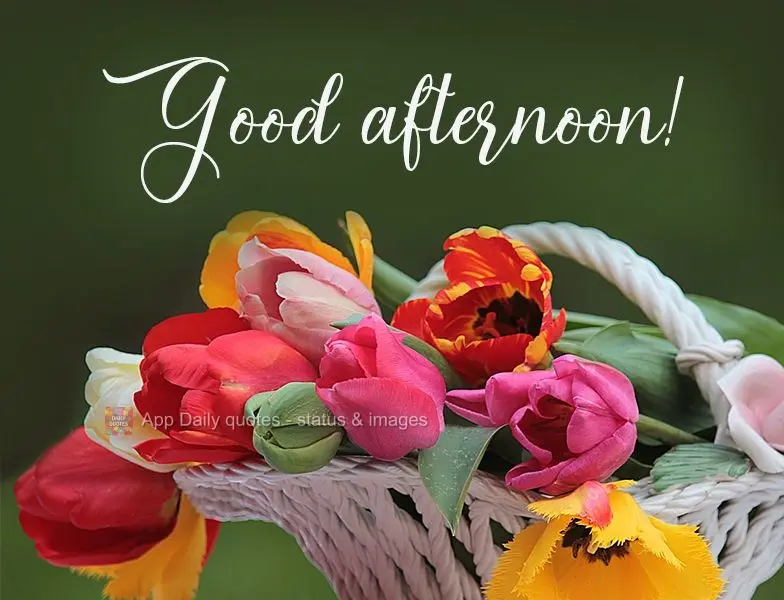 Good afternoon!