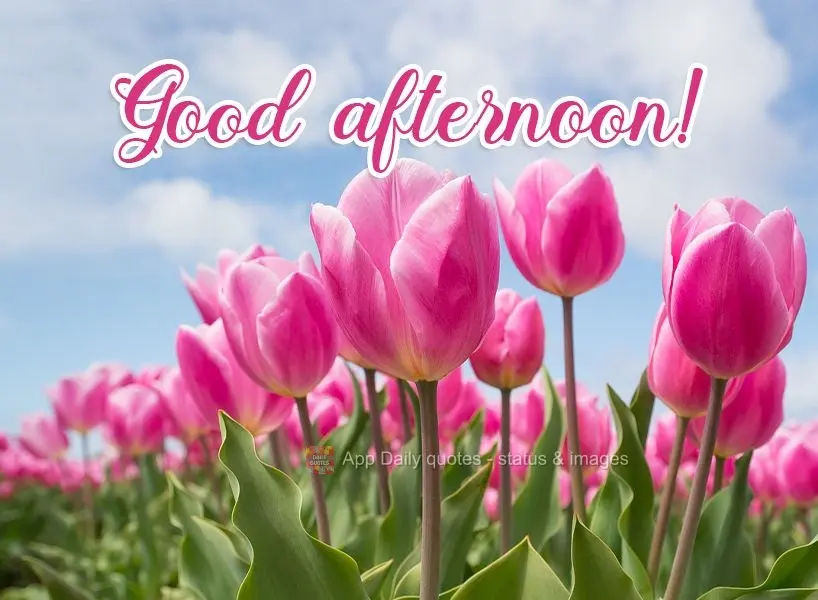 Good afternoon! 