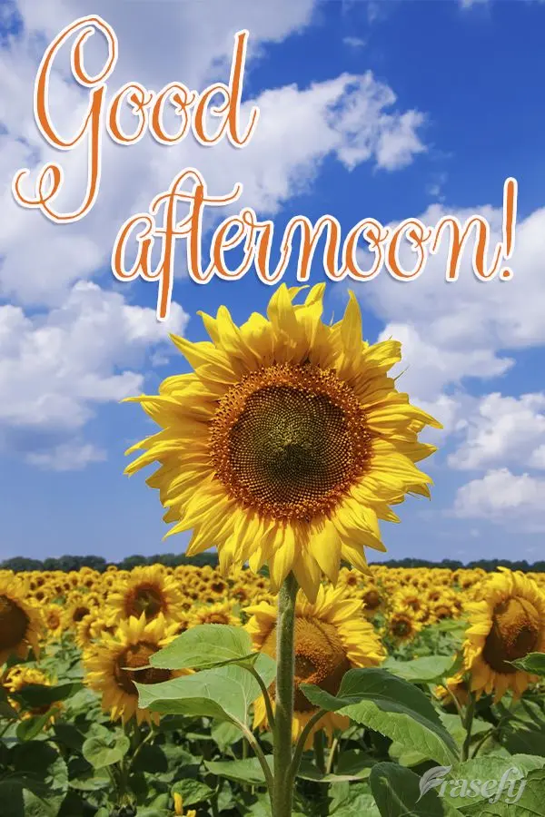 Good afternoon! 