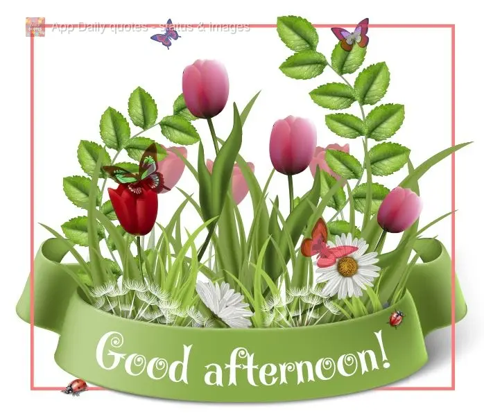 Good afternoon! 