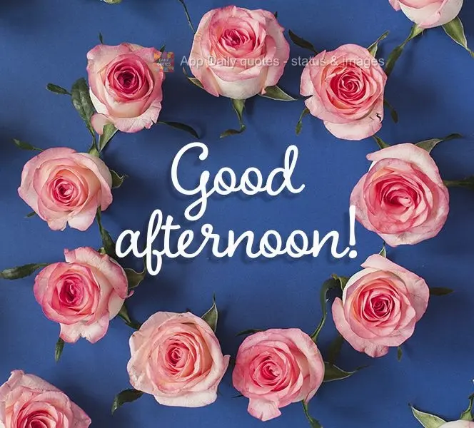 Good afternoon!