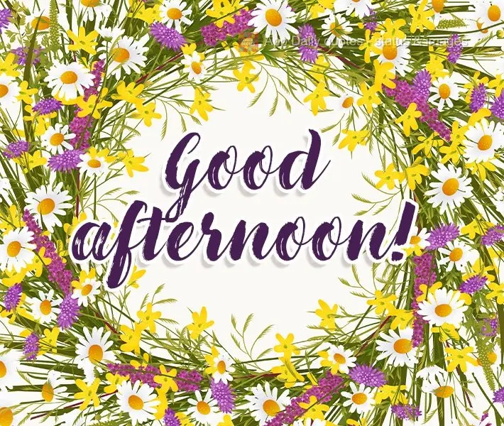 Good afternoon!