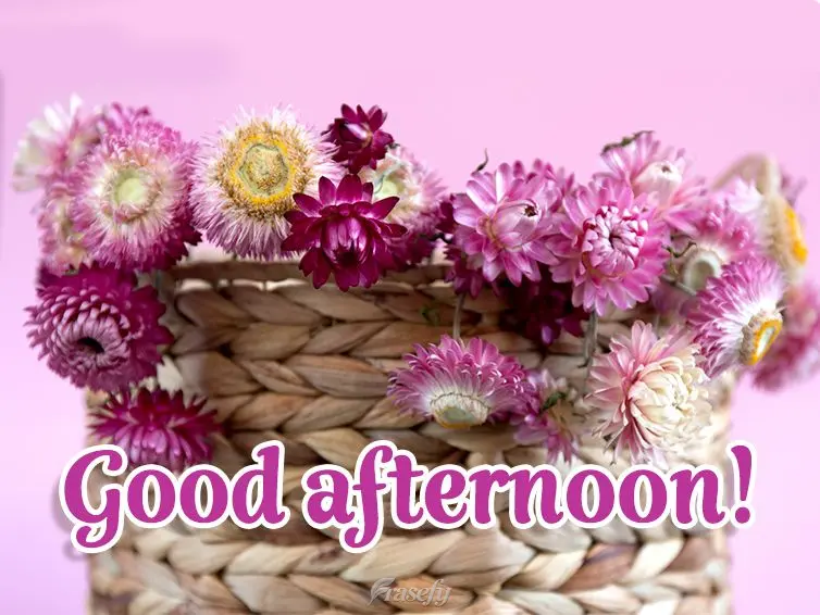 Good afternoon!