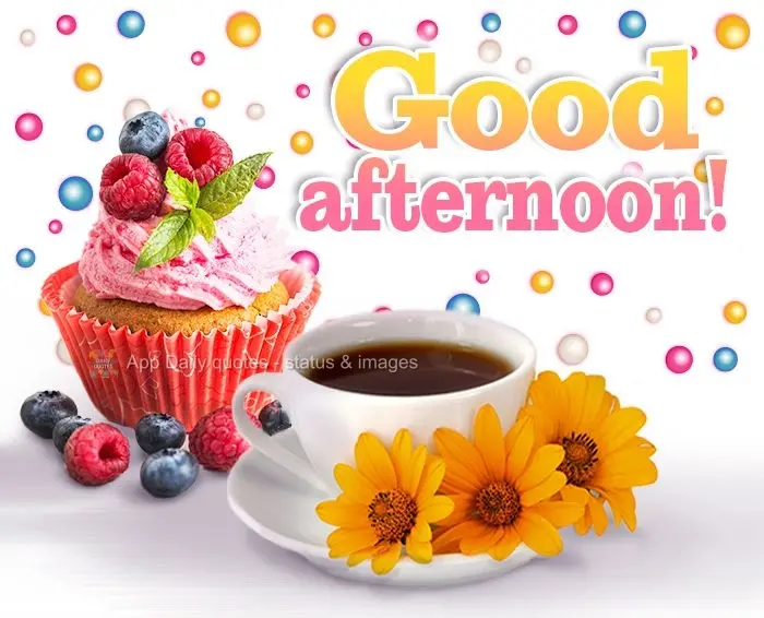 Good afternoon!