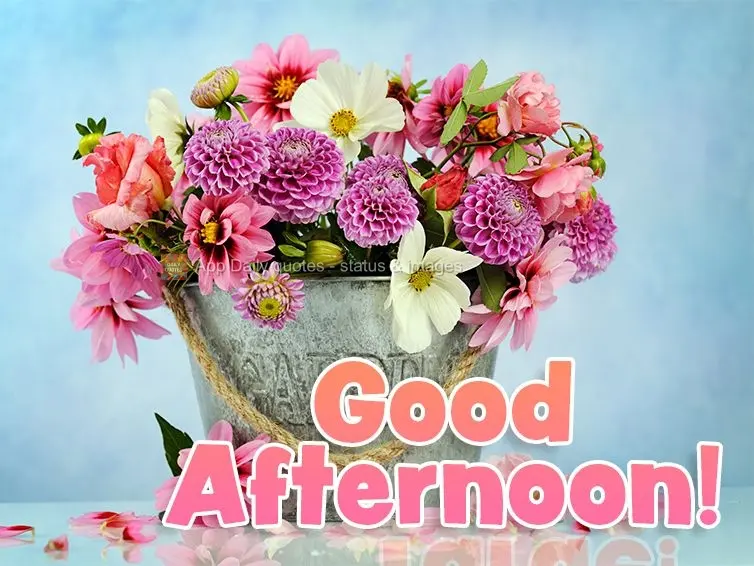 Good afternoon!