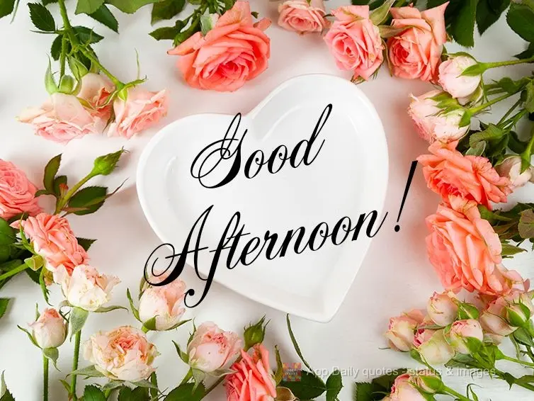 Good afternoon!