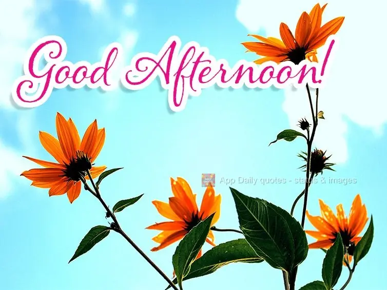 Good afternoon!