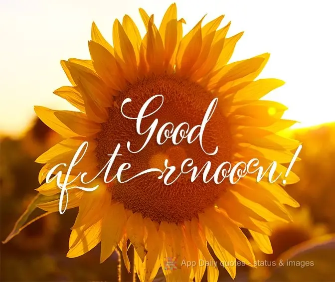 Good afternoon!