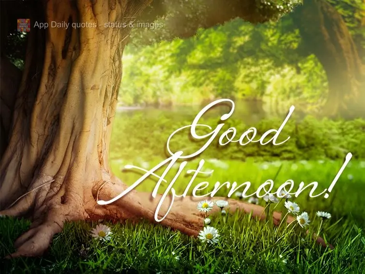 Good afternoon!