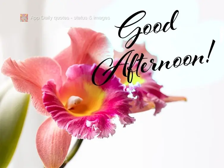 Good afternoon!