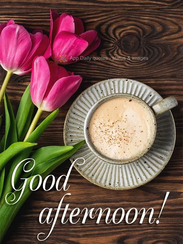 Good afternoon!
