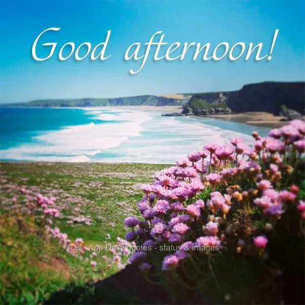 Good afternoon!