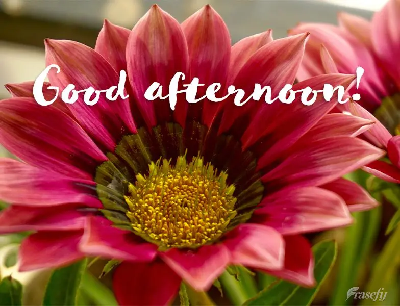 Good afternoon!