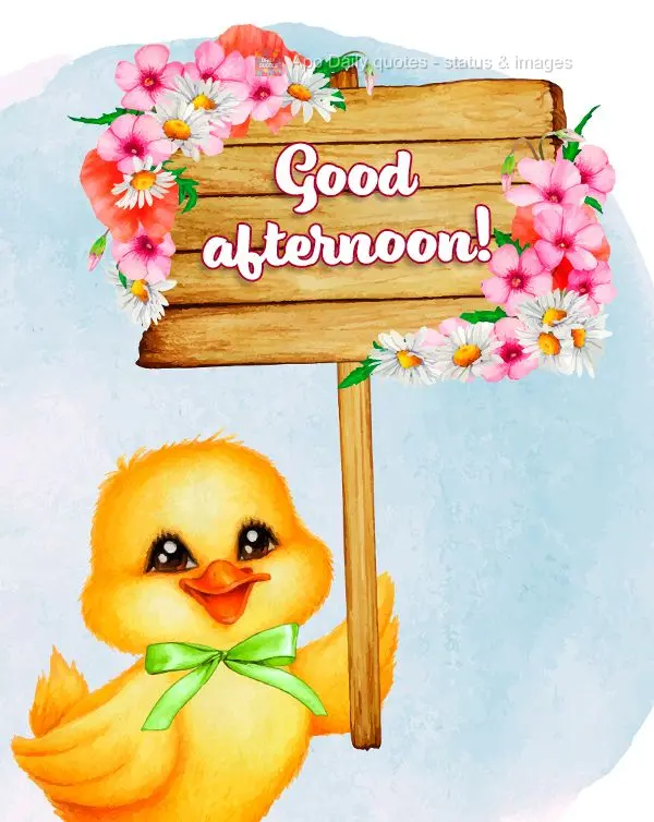 Good afternoon!