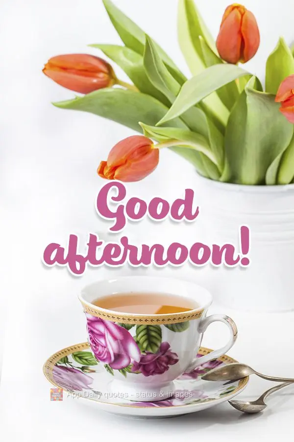Good afternoon!