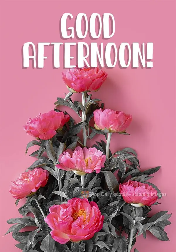 Good afternoon!
