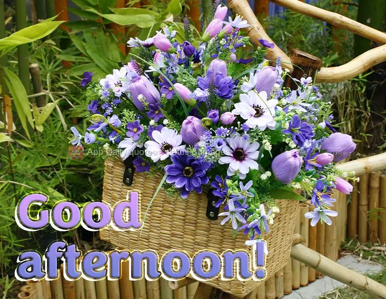 Good afternoon!