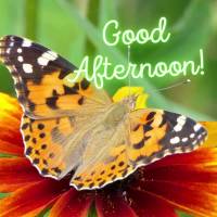 Good afternoon!