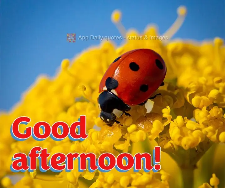 Good afternoon!