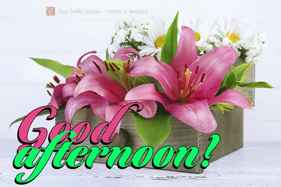 Good afternoon!