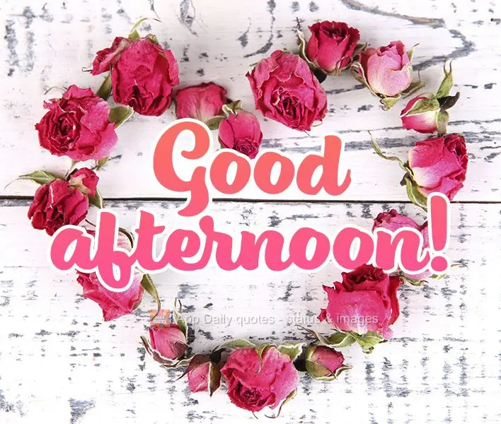 Good afternoon!
