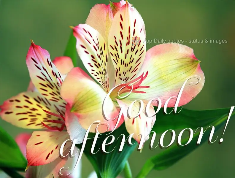 Good afternoon!