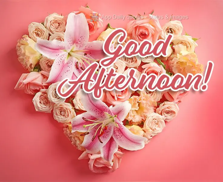 Good afternoon!
