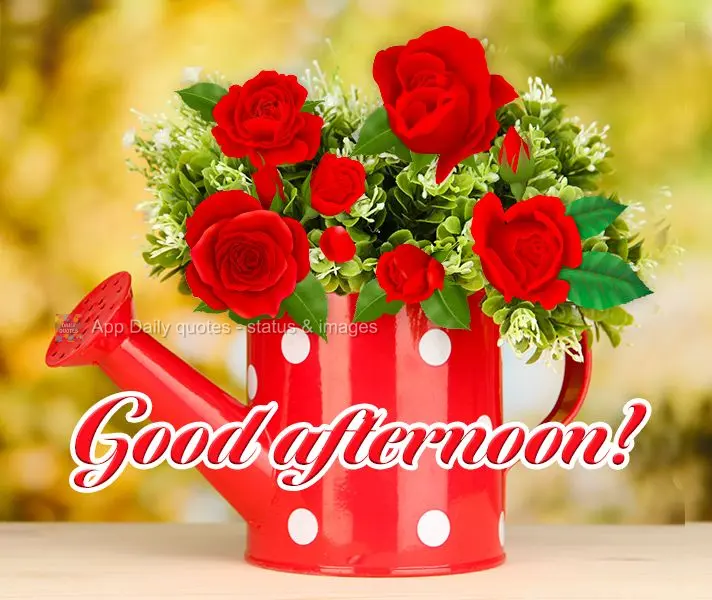 Good afternoon!