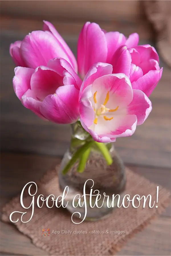 Good afternoon!