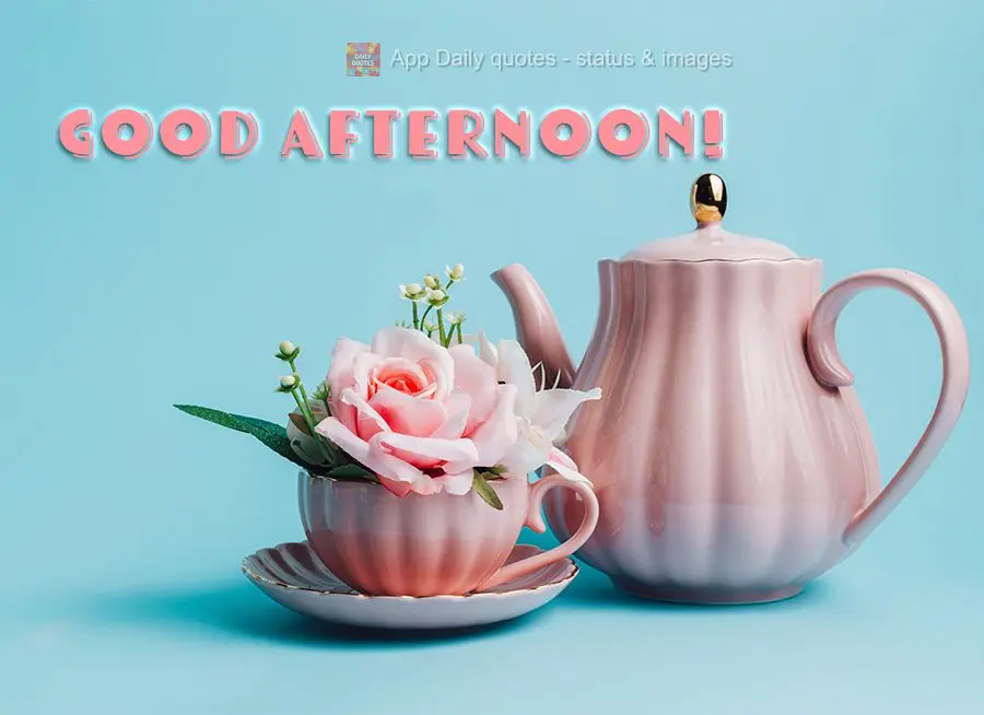 Good afternoon!