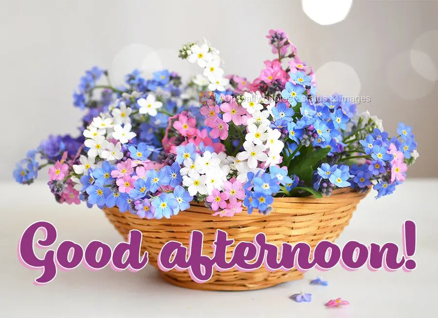 Good afternoon!
