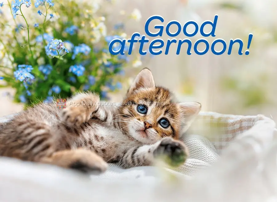 Good afternoon!