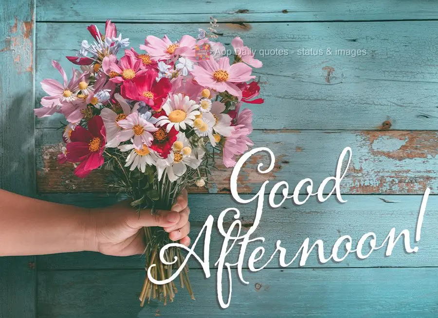 Good afternoon!