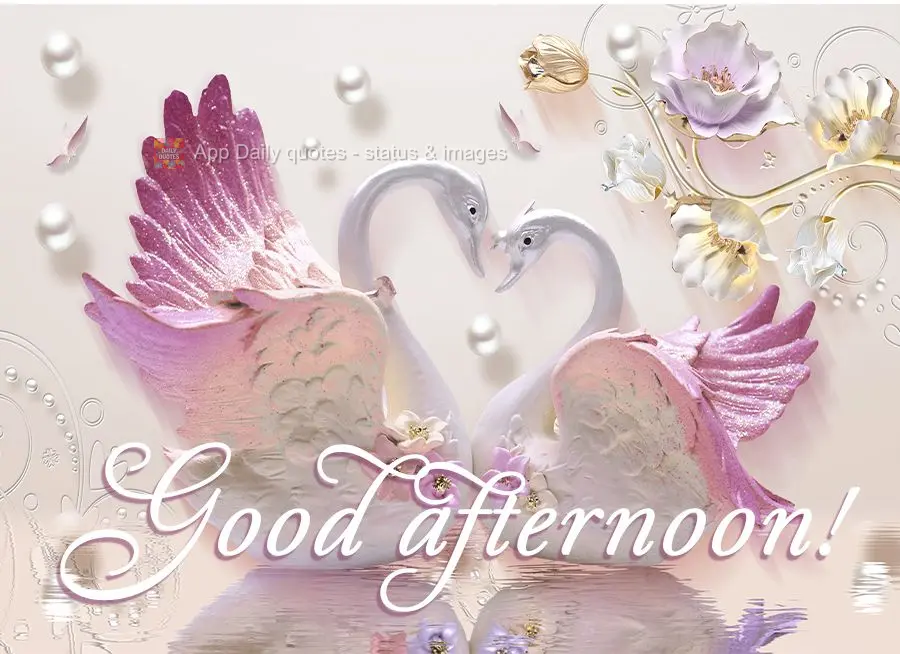 Good afternoon!